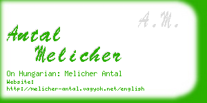 antal melicher business card